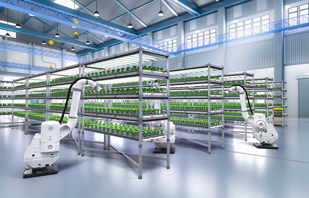 Strange Industries That Might Change Your Fortune