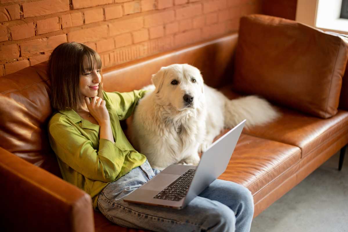 Get Paid to Pet Sit or Dog Walk in Your Neighborhood
